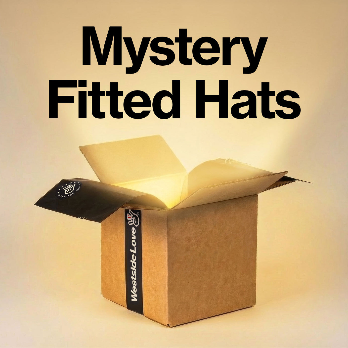 Mystery Box - Fitted Hat