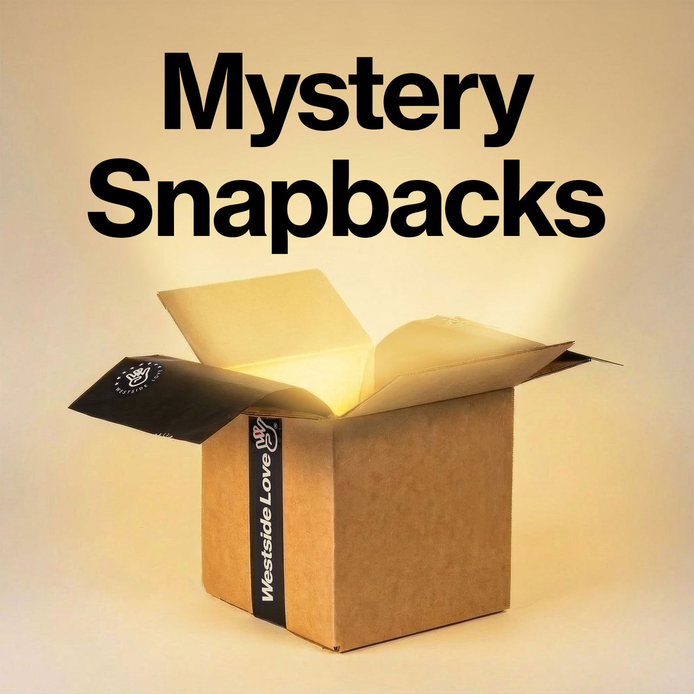 Mystery Box - New Era 9Fifty Snapback